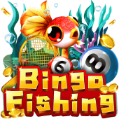 Bingo Fishing on TablePlus