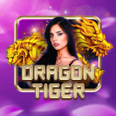 Dragon Tiger on TablePlus